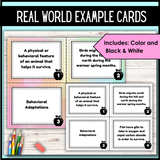 Animal Adaptations Card Sort | Task Card Activity | Real World Application