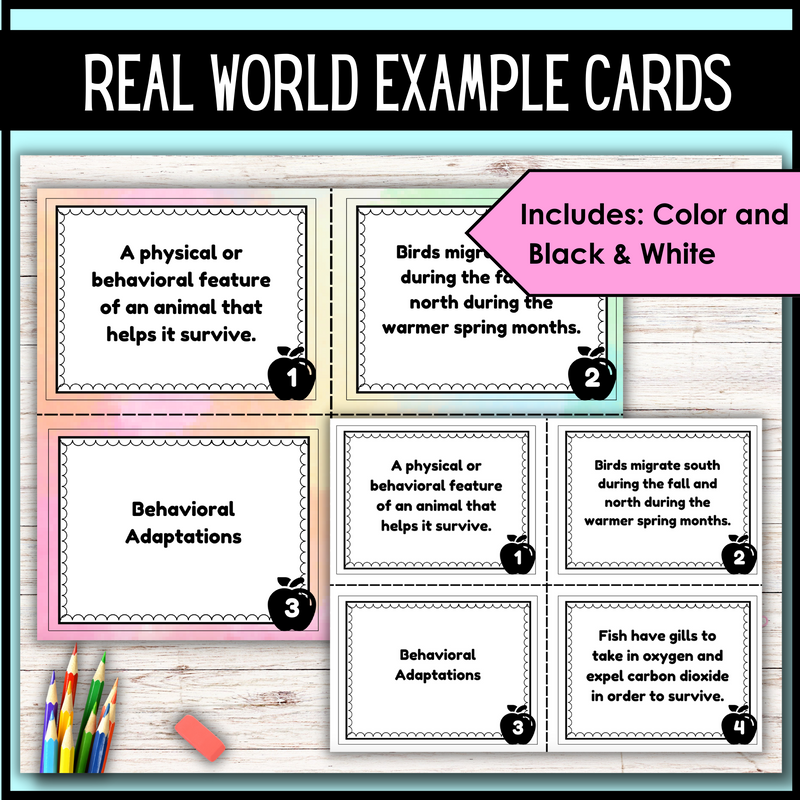 Animal Adaptations Card Sort | Task Card Activity | Real World Application